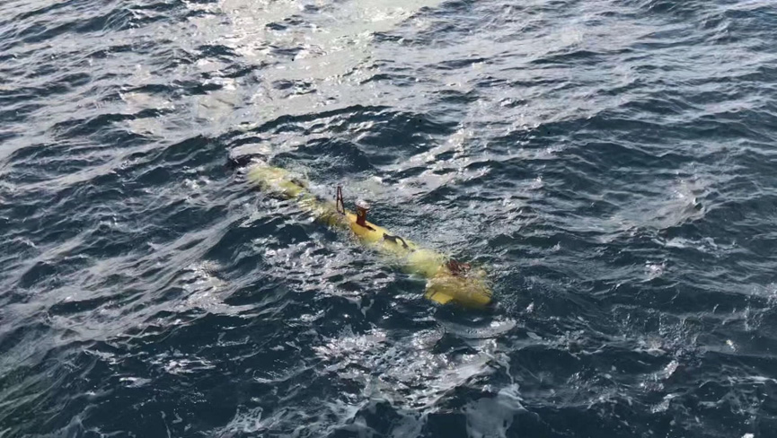 PX-324型號(hào)AUV